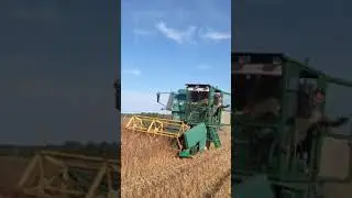 Чернігівщина жнивує. Відео від підписника🤝