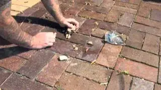 Plastic bag fire go #2