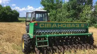 Сіва порадувала