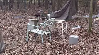 Preview Of Upcoming Pig Roast