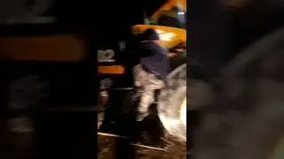 Романтика в лесу