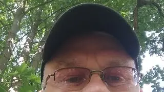 Елагин остров