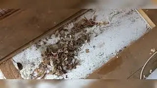 как не надо делать пол и почему )