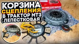 ⚡Корзина сцепления Д-240/Д-243 (БЗТДиА) лепестковая 85-1601090-Д-01⚡ОБЗОР КОМПЛЕКТА.