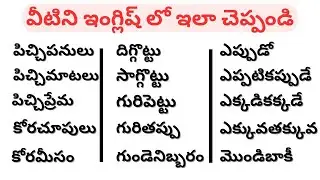 Daily use English sentences| English speaking practice| English in Telugu