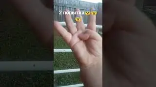 24 июня 2023 г.