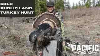 Solo Public Land Bird!- Washington Turkey Hunt