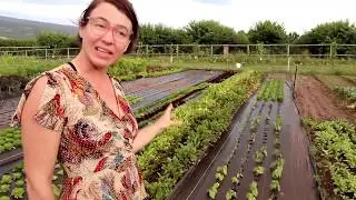 JULY GARDEN TOUR on our 1 year property anniversary