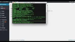 Quickly update localhost WordPress Theme and Plugins