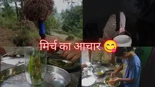मिर्च का अचार बनाया है😋|| जंगल🌲|| Vandana Bisht