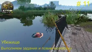 Shelter. Complete tasks and catch a clam. #11. Atom Fishing II