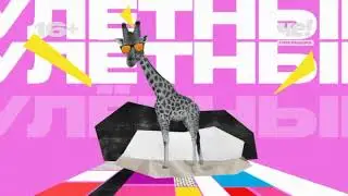Заставка программы "Улётные животные" на Че! (2024 н.в)