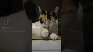Seja livre, dona do seu ser!