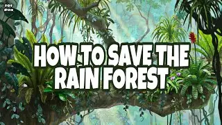 HOW TO SAVE THE RAIN FOREST | TOT#119 | TIPS O TIPS