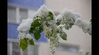 живи для меня