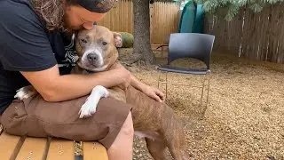 PAWS: Progress so far and the road ahead