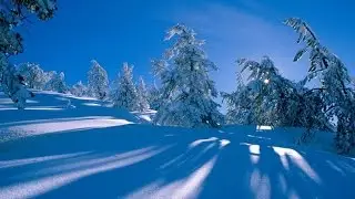 The most beautiful winter landscapes