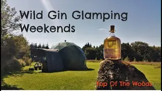Wild Gin Glamping Weekends at Top of the Woods Eco Camping & Glamping Pembrokeshire Wales