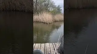 Ловля на поплавок ) 