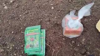 подготавливаю теплицы к следующему сезону..