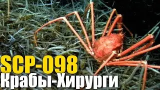 КРАБЫ-ХИРУРГИ (SCP-098)