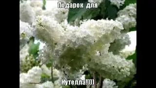 Нутелла!