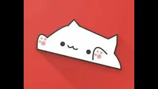 just me setting up the bongo cat cam