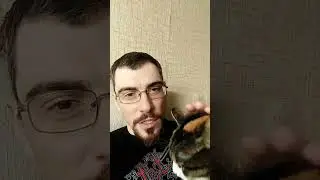 Ловим призраков с кошкой. 