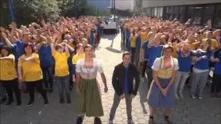 LBS WALDEGG blau & gelb 2013