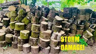 Storm damage