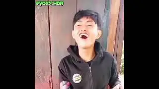 bocil coli