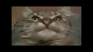 КИТ ТЫ МАМУ МАВ - БРАТАТАТАТА 1 ЧАС (Премьера Клипа, 2020)