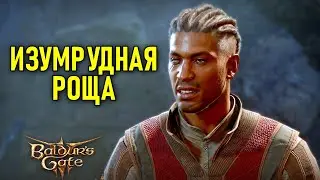 Изумрудная роща в Baldur's Gate 3 #6