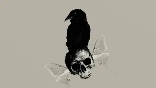 The Disgusting Truth about Plagued Moth (Plagued Moth EXPOSED)