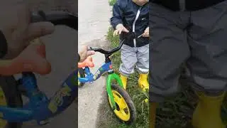 Фара из одуванчика