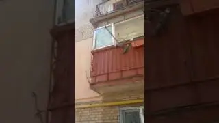 Лень или летающее молоко.