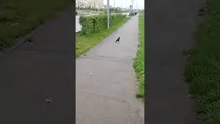 Как всегда интересно!!!