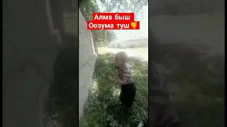 Алма быш оозума туш 😂🤣