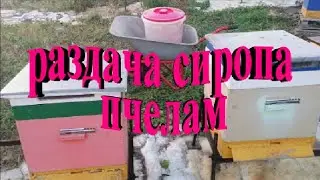Раздача сиропа пчелам  Готовимся к зимовке