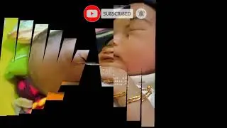 Album foto | lucu dan imut