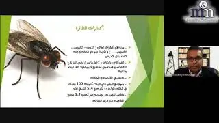 Pest Control Awareness Training - تدريب علي مكافحة الآفات