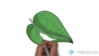 Life processes introduction