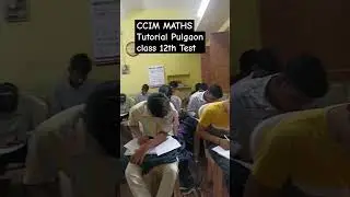 Test Paper class 12th offline batch CCIM MATHS Pulgaon