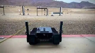 Dogo shooting with Sig Sauer pistol