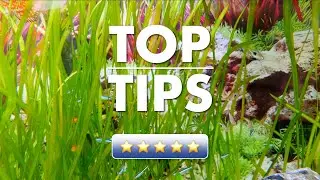 Top Tips - September