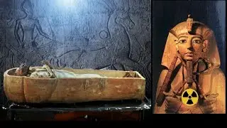 IRRADIATION OF RAMESSES II