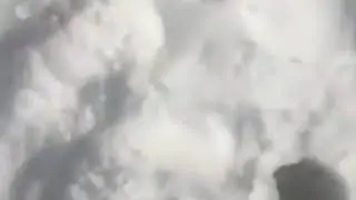 How to make the perfect snowball
