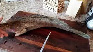 как правильно снять филе из судака маринованная рыбы в уксусе