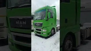 осмотр вот такого красавчика, ман зеленый