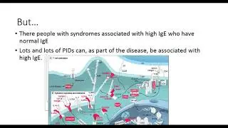 The Various Hyper IgE Syndromes (HIES)